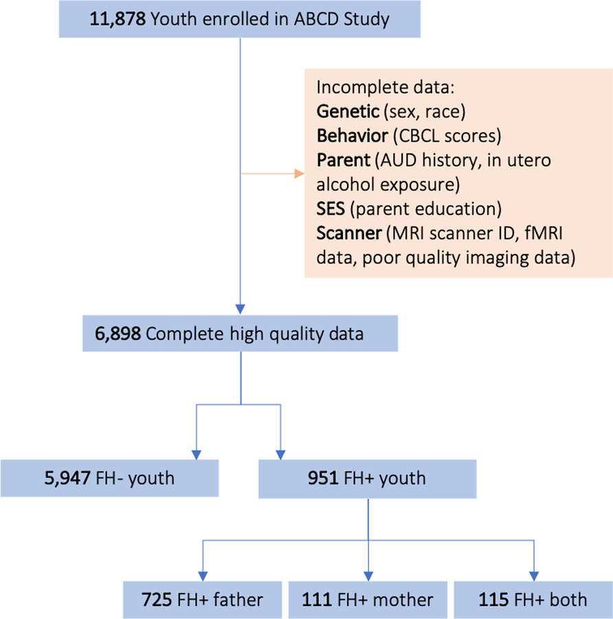 Figure 1: