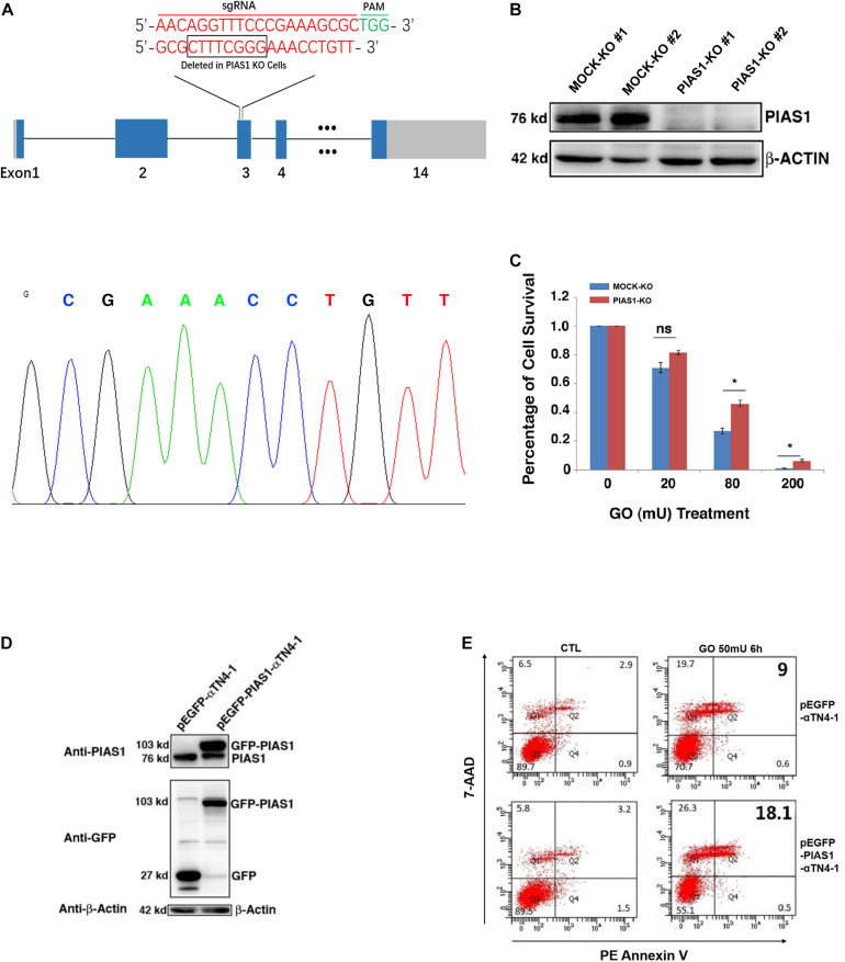 FIGURE 2