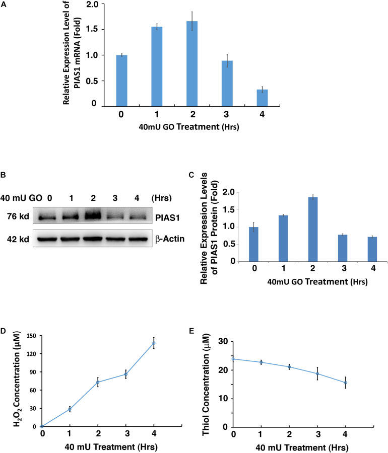 FIGURE 1