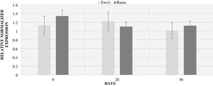 Figure 11