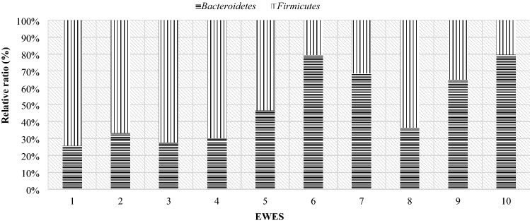 Figure 13