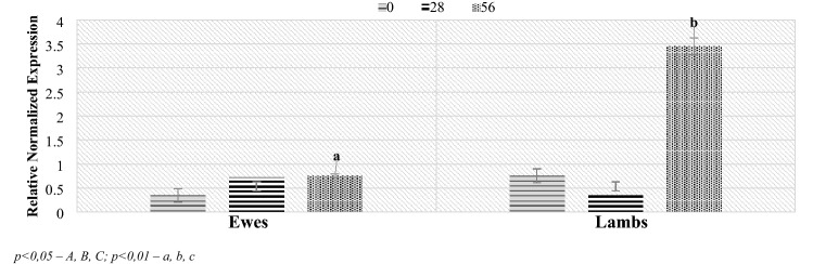 Figure 5