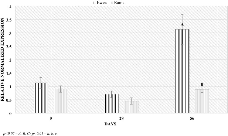 Figure 10