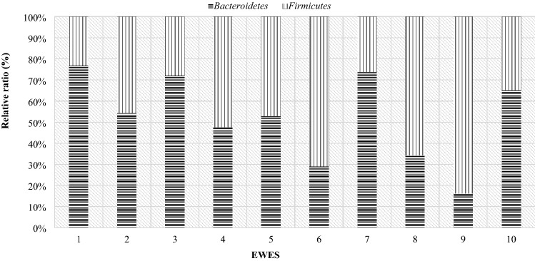 Figure 14