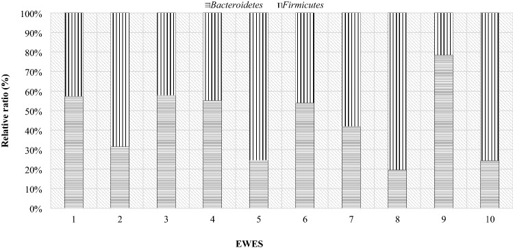 Figure 12