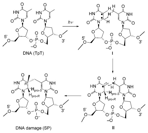 Scheme 3