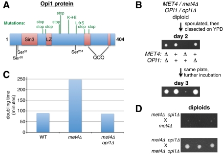 FIGURE 3: