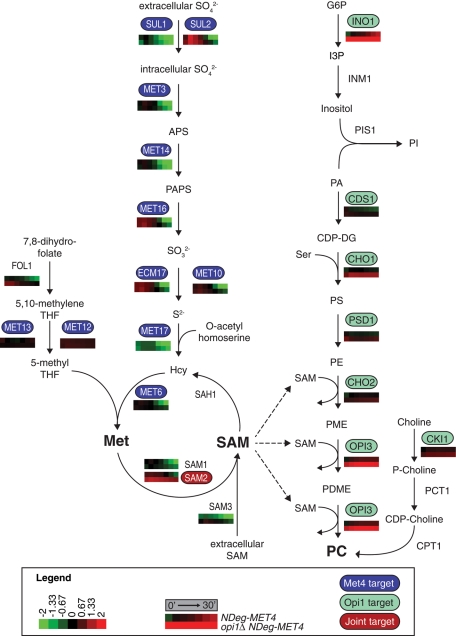 FIGURE 4: