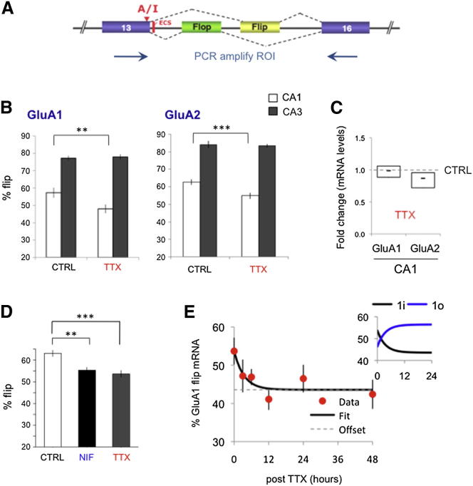 Figure 1