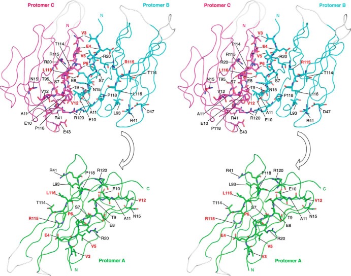 FIGURE 3.