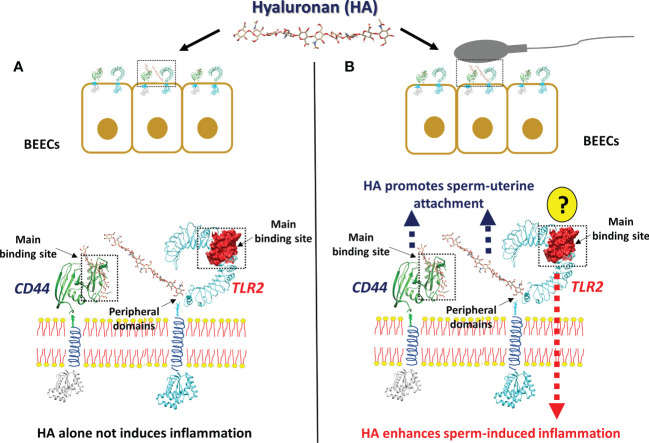 Figure 6