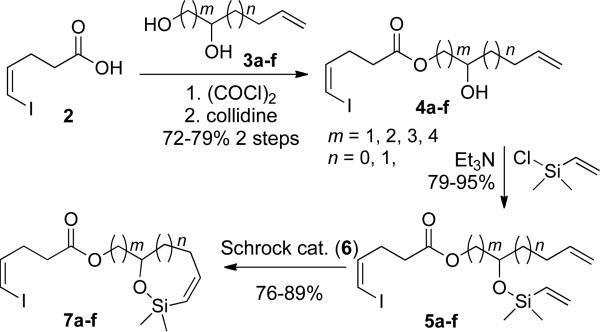 Scheme 3