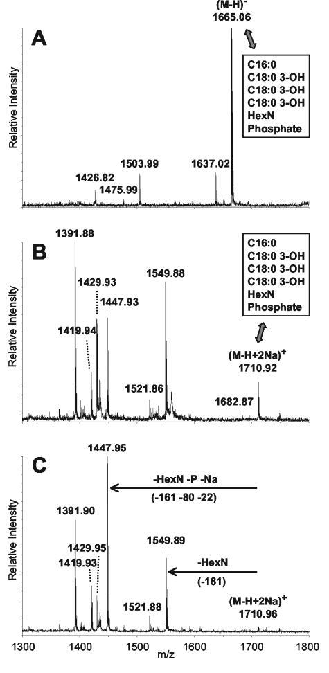 FIG. 2.