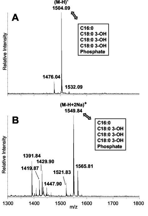 FIG. 6.