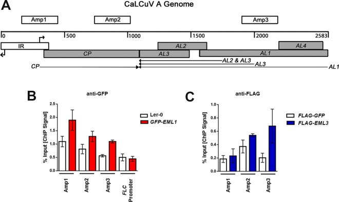 FIG 3