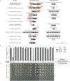 Extended Data Figure 8 |