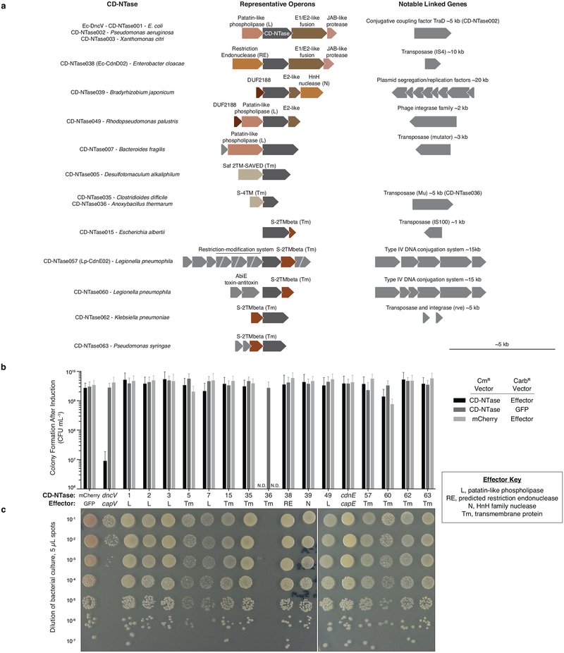 Extended Data Figure 8 |