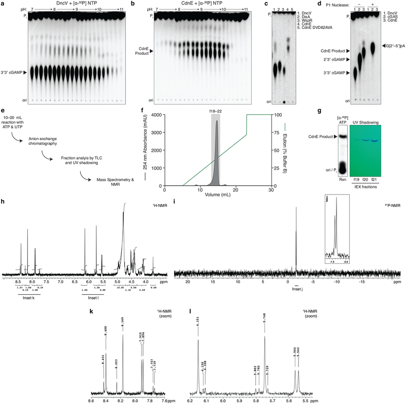 Extended Data Figure 1 |