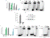 Extended Data Figure 5 |