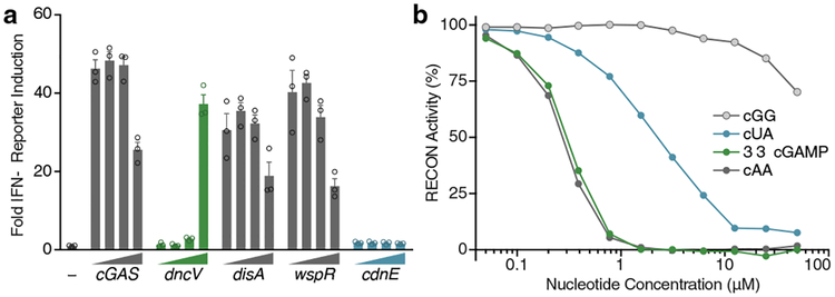 Figure 3 |