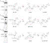 Extended Data Figure 2 |