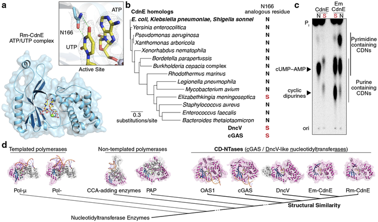 Figure 2 |