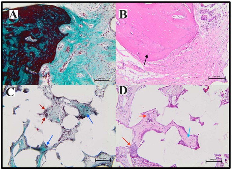 Figure 13