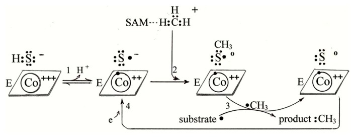 Scheme 7