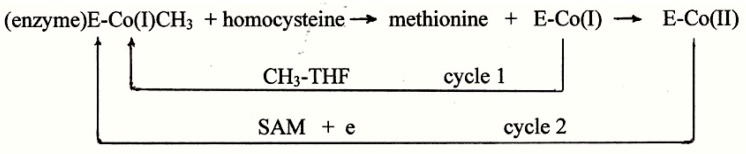 Scheme 3