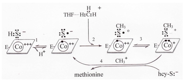 Scheme 6