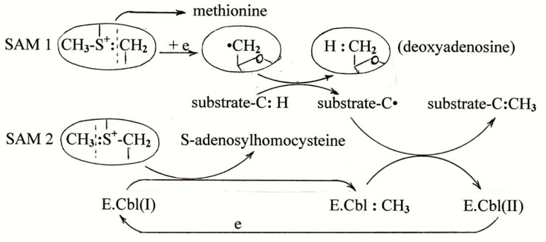 Scheme 2