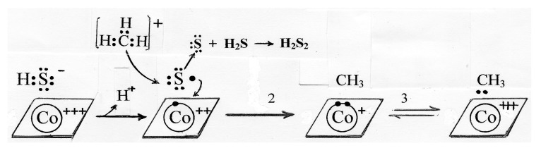 Scheme 5