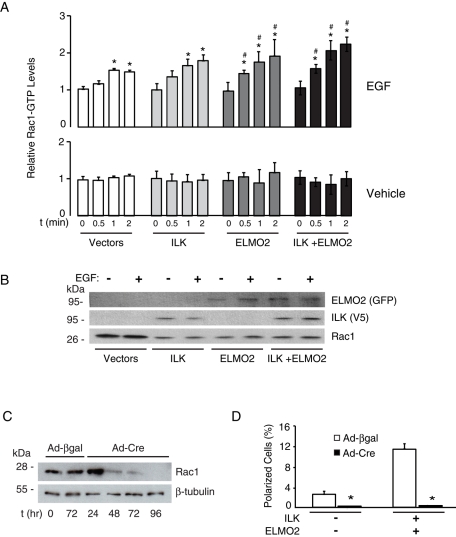 FIGURE 6: