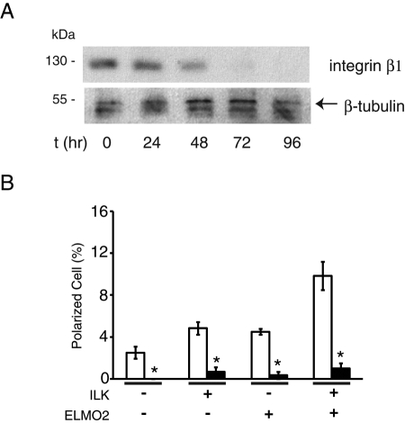 FIGURE 7: