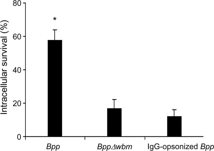 Fig 5