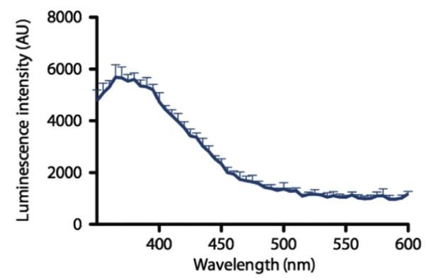 Figure 6.3