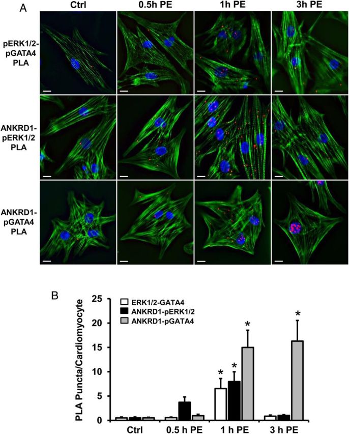 Figure 6