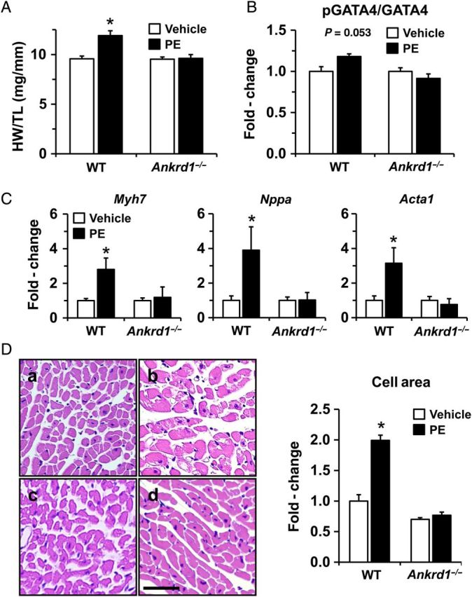 Figure 7