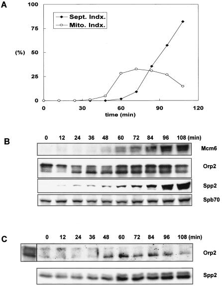 FIG. 8.