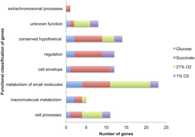 FIG 3