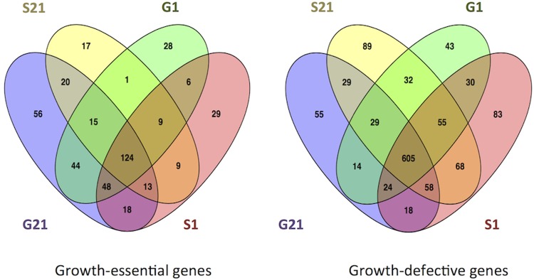 FIG 1