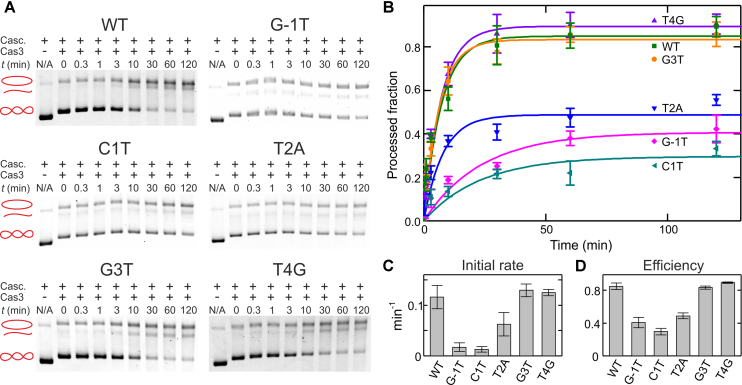 Figure 6.