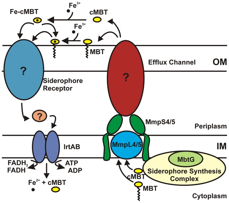 Figure 10