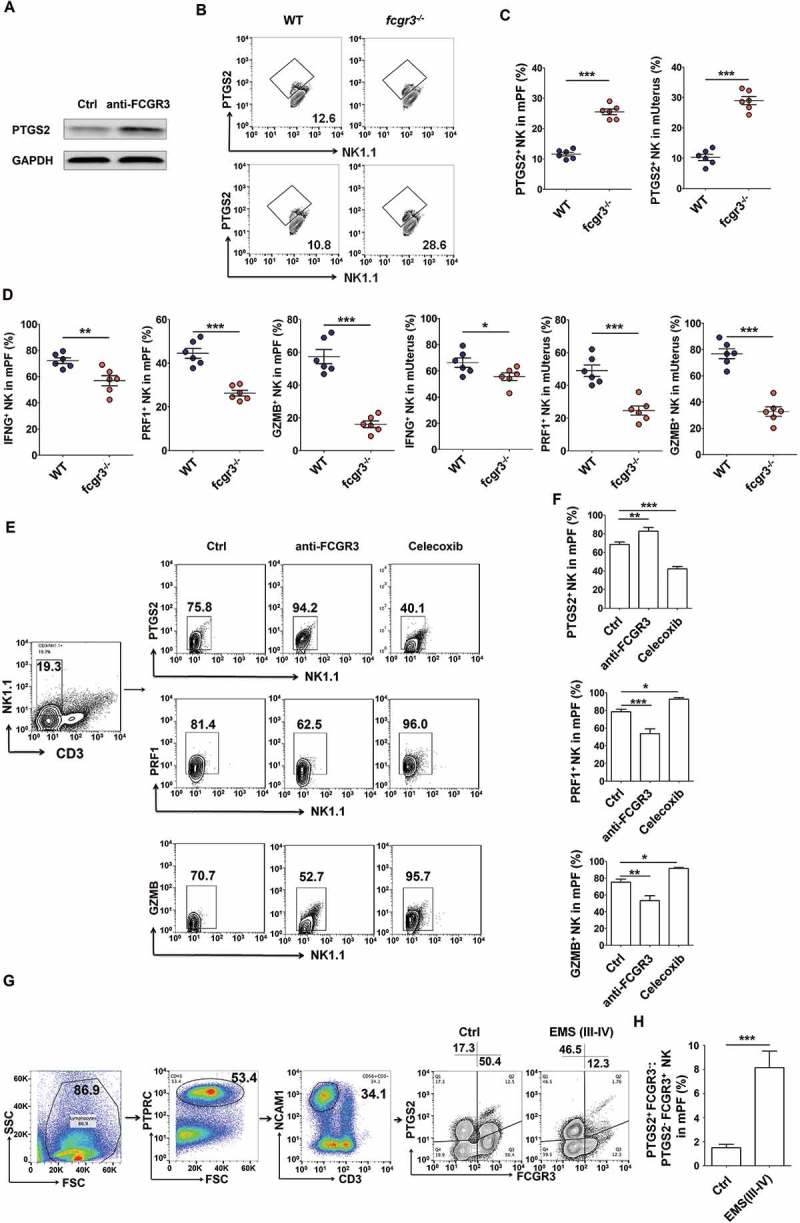 Figure 11.