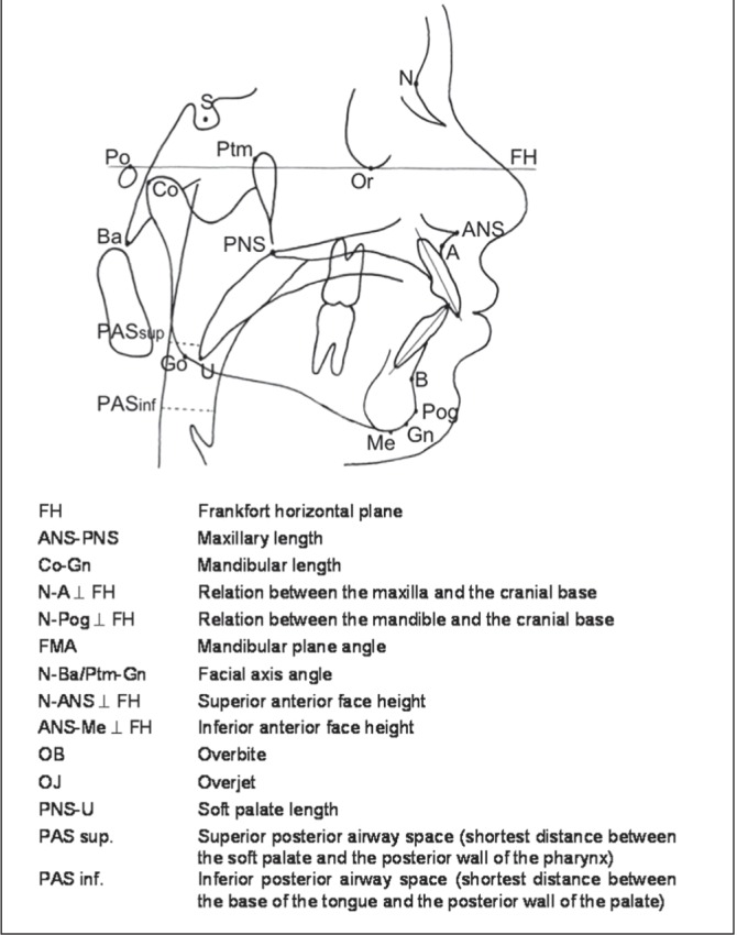 graphic file with name crj-21-4-234-4.jpg