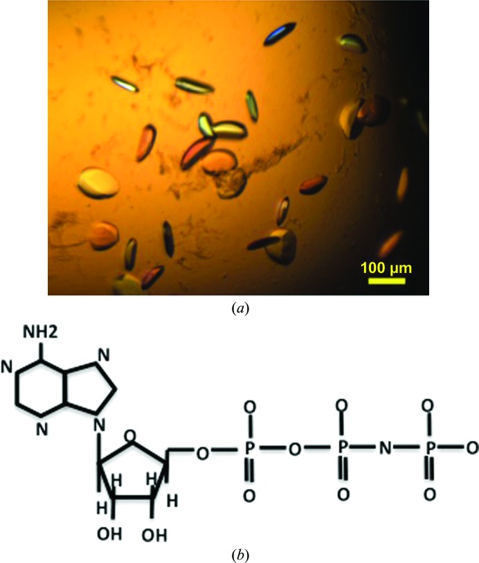 Figure 2