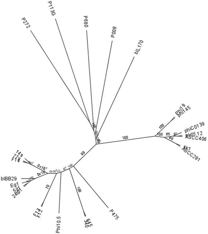 Figure 7