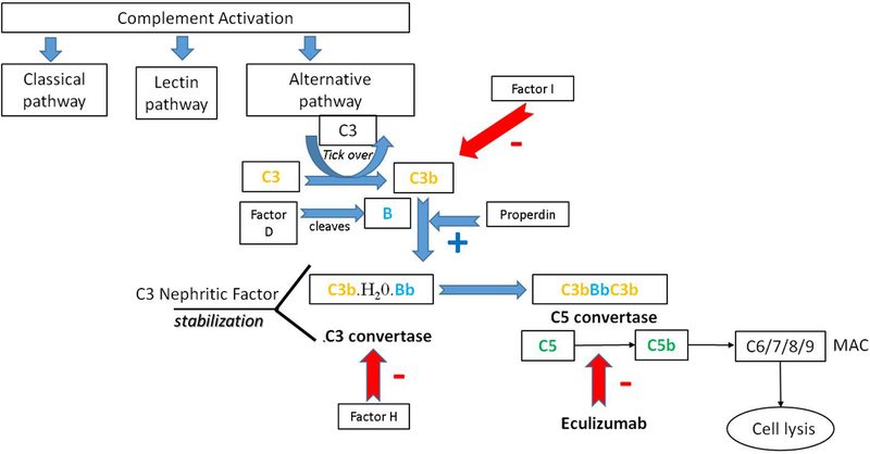 Figure 1: