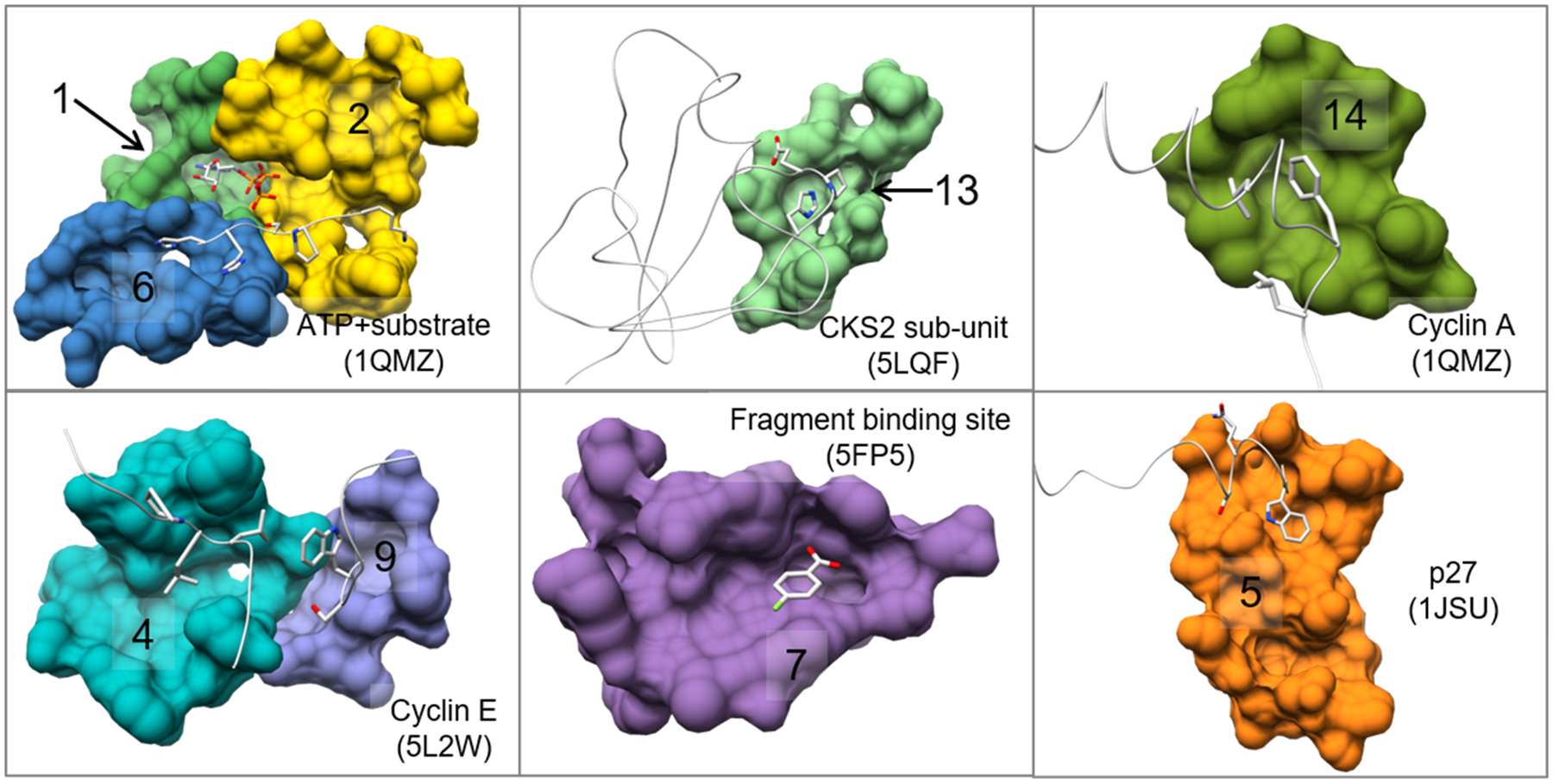 Figure 6