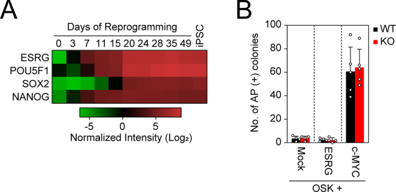 Fig 5